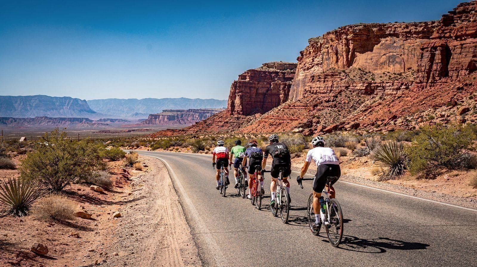 Bike Rentals