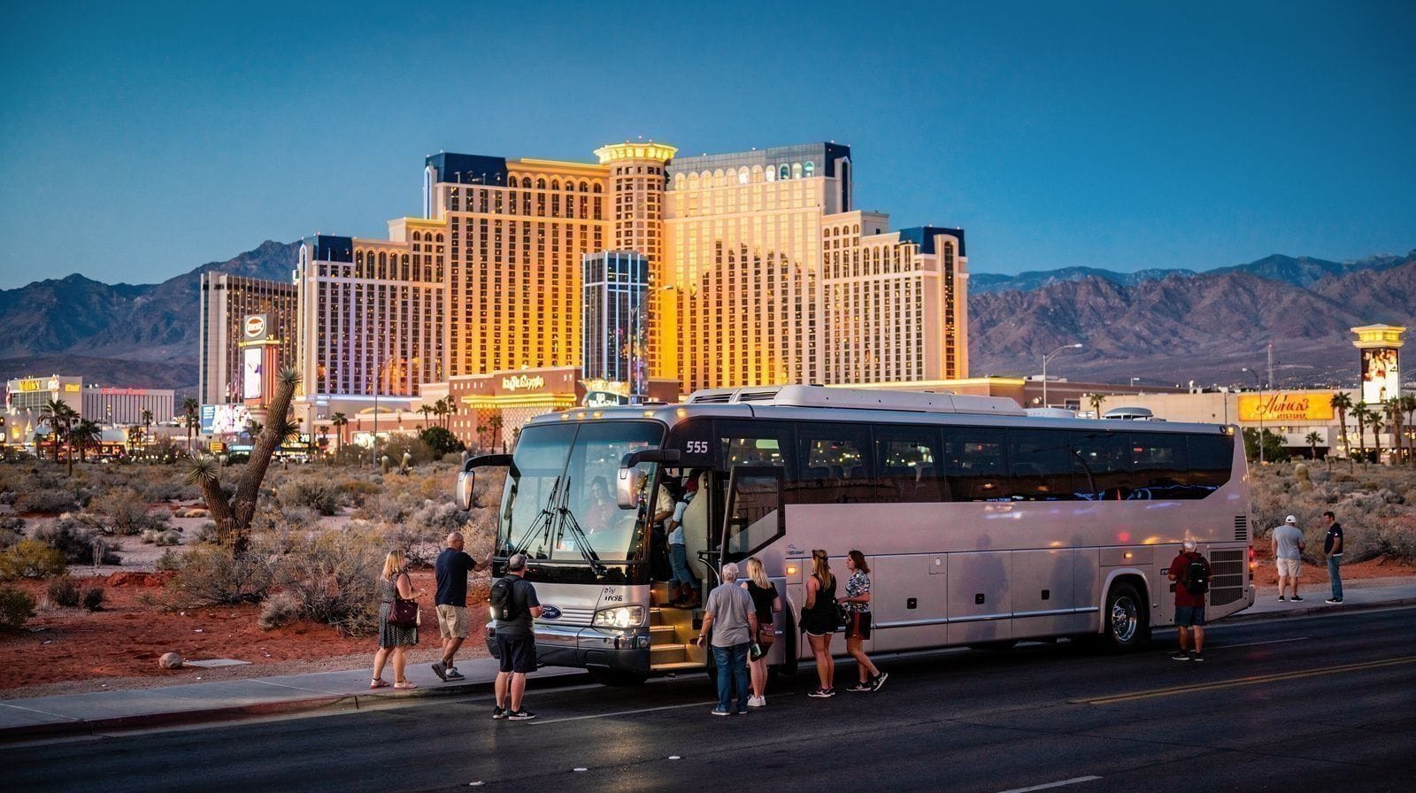 Hop-On Hop-Off Bus Tours and City Passes