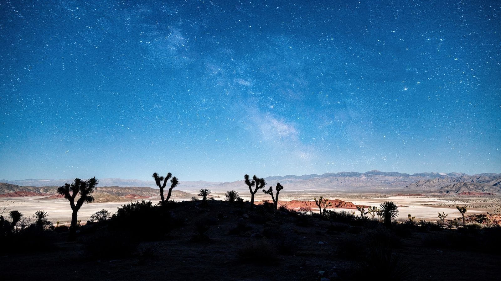Stargazing