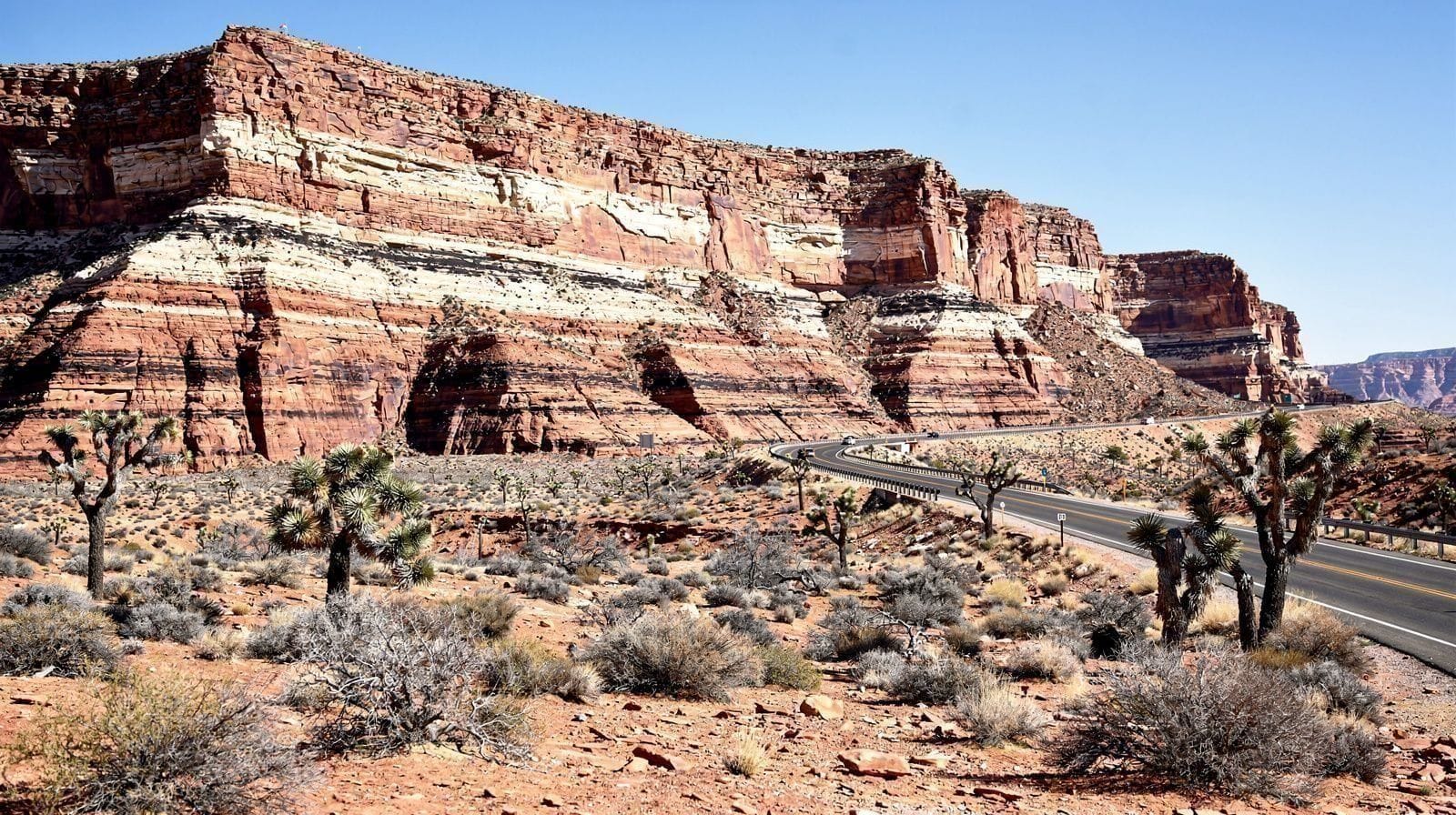 Red Rock Canyon: The Desert Escape 30 Minutes From the Strip