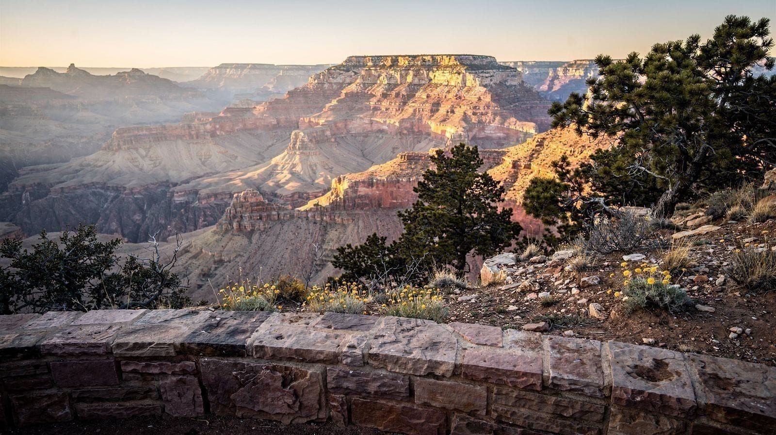 Points de vue du Grand Canyon South Rim : la carte pratique de Desert View Drive et Hermit Road