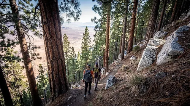 Mount Charleston: A Cool-Air Escape from the Las Vegas Heat