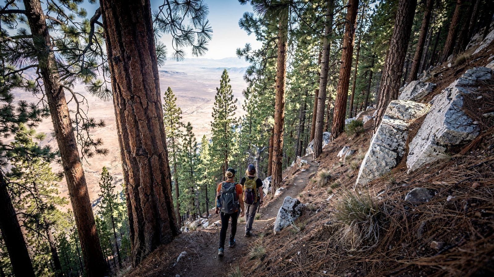 Mount Charleston : une échappée fraîche loin de la chaleur de Las Vegas