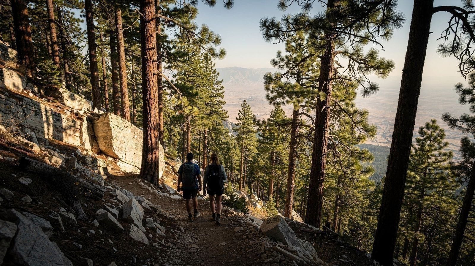 Guide de randonnée en altitude à Mount Charleston