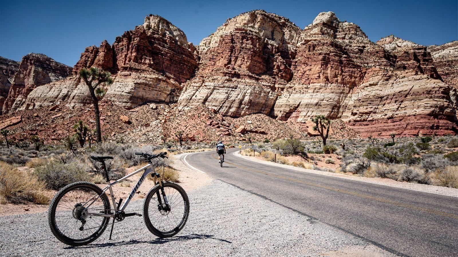 Location de vélo à Red Rock Canyon : guide vélo électrique et vélo de route