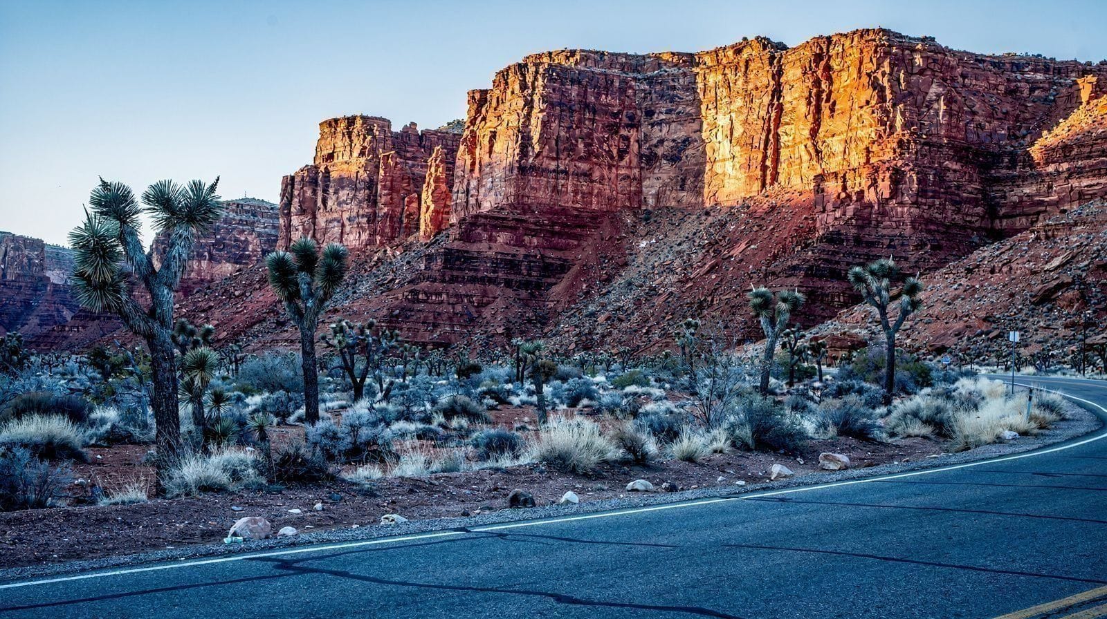 Red Rock Canyon : les randonnées courtes et faciles depuis le Strip